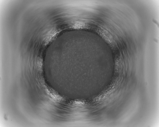 X0000093400592200711020936