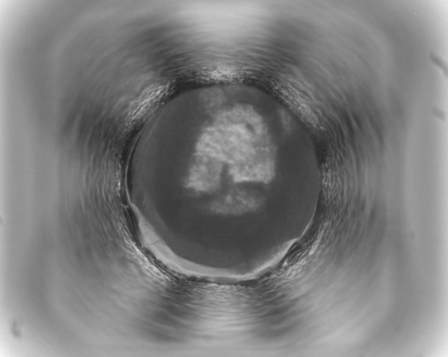 X0000093400593200711020936