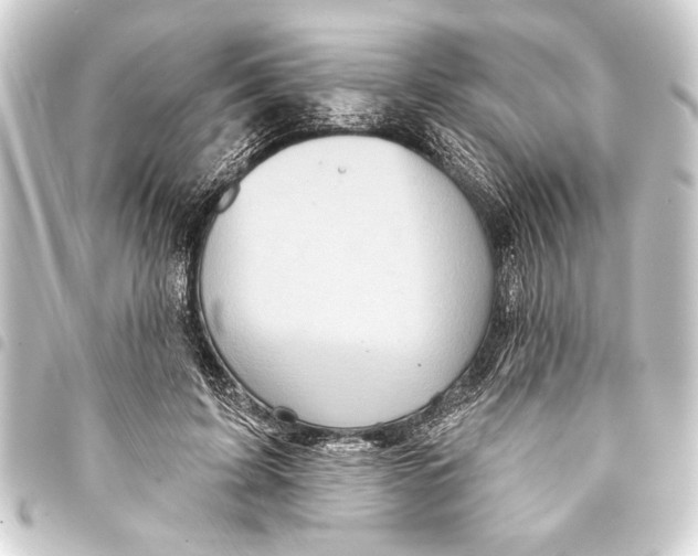 X0000093400595200711020936