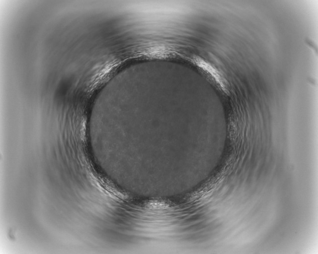 X0000093400596200711020936