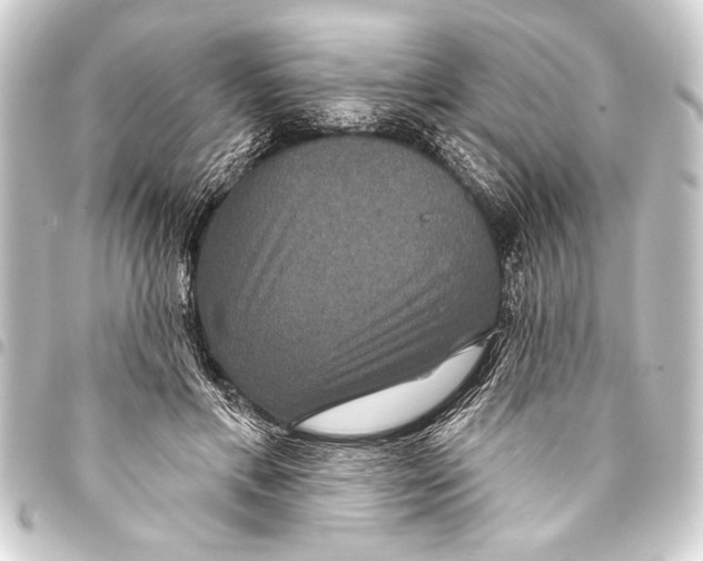 X0000093400597200711020936