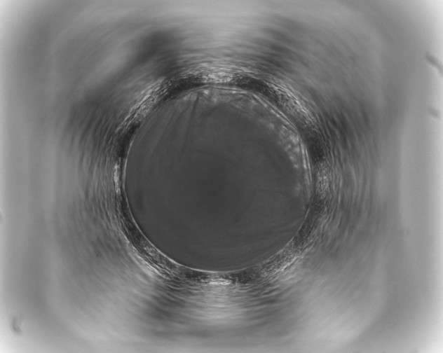 X0000093400598200711020936