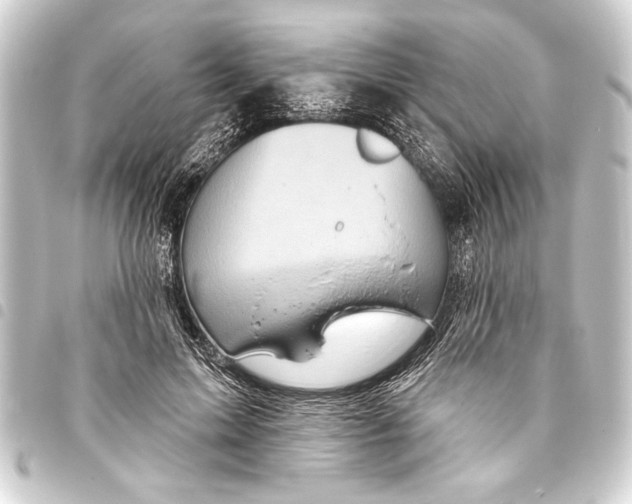 X0000093400599200711020936