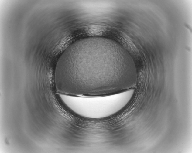 X0000093400600200711020936