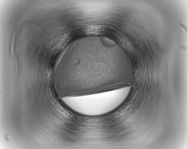 X0000093400601200711020936