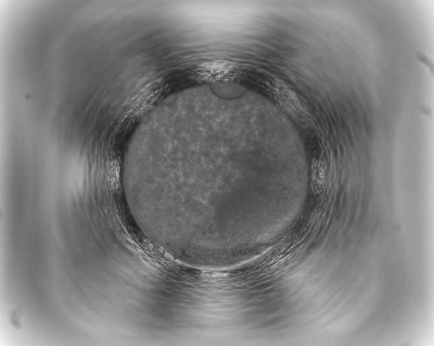 X0000093400602200711020936