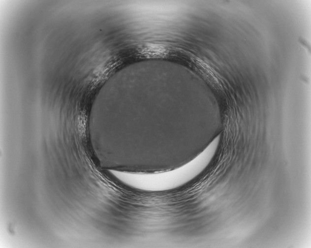 X0000093400604200711020936