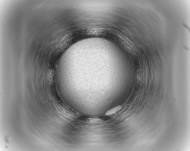 X0000093400605200711020936