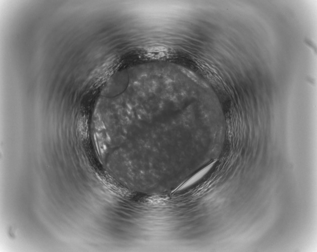 X0000093400606200711020936