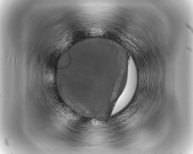 X0000093400608200711020936