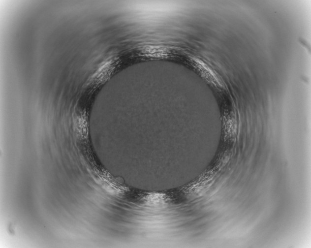 X0000093400609200711020936