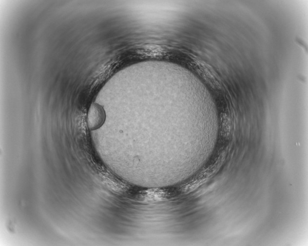 X0000093400612200711020936