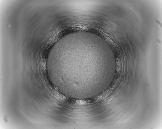 X0000093400613200711020936