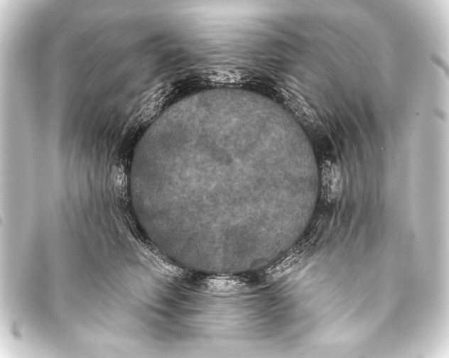 X0000093400614200711020936