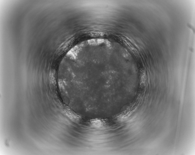 X0000093400616200711020936