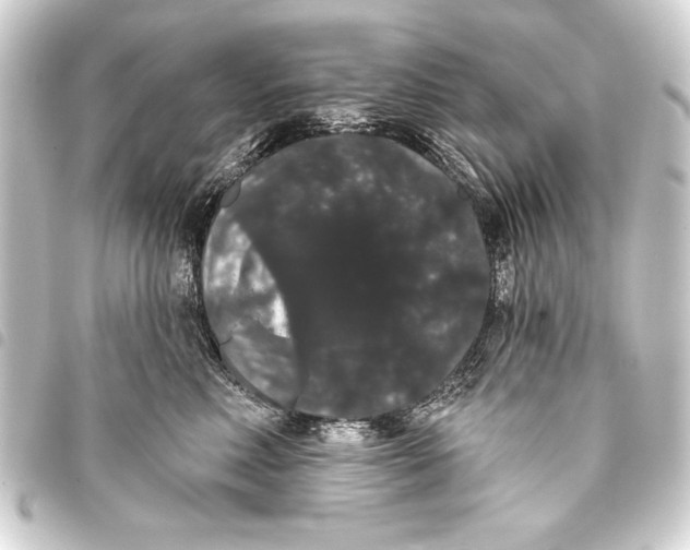 X0000093400618200711020936