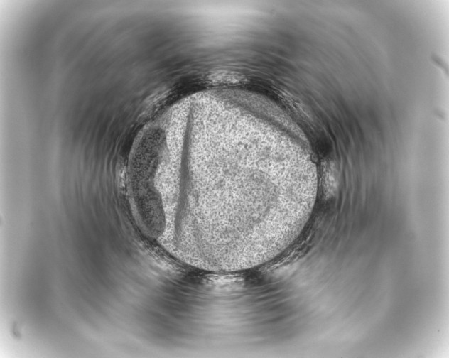 X0000093400619200711020936