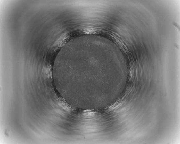 X0000093400620200711020936