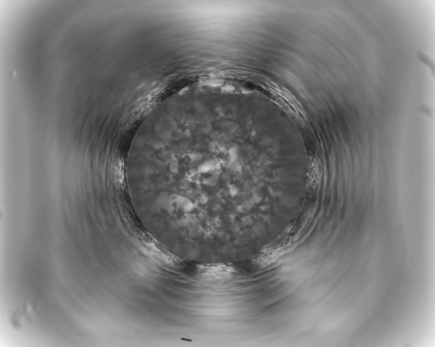 X0000093400621200711020936