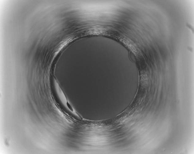 X0000093400626200711020936