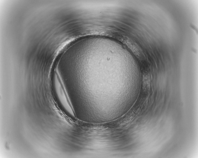 X0000093400628200711020936