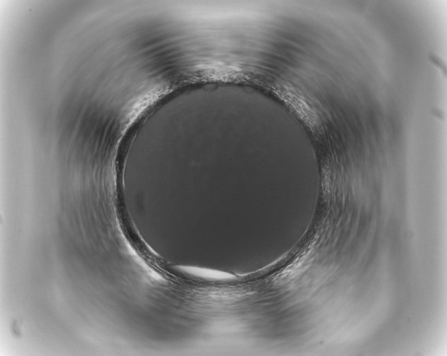 X0000093400630200711020936