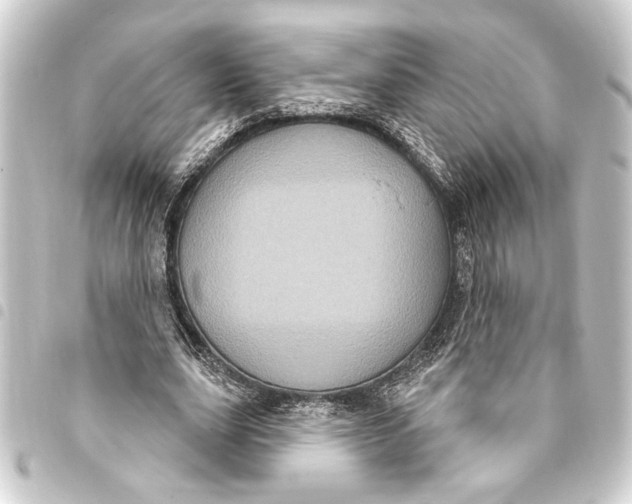 X0000093400631200711020936