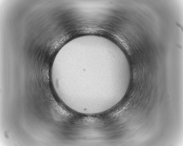 X0000093400633200711020936