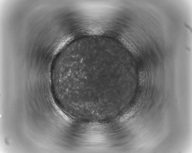 X0000093400634200711020936