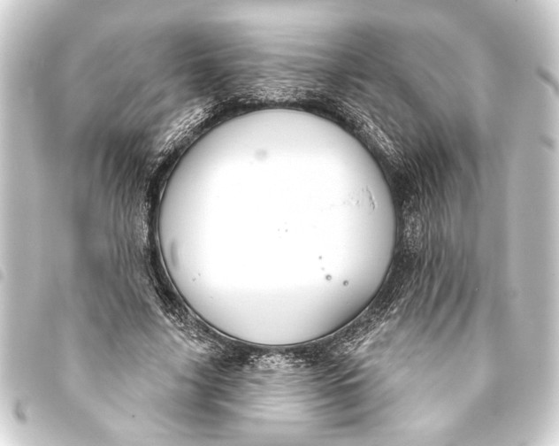 X0000093400635200711020936