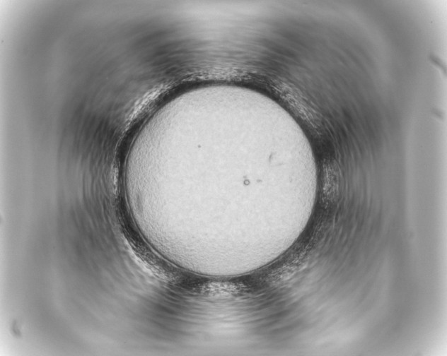 X0000093400636200711020936