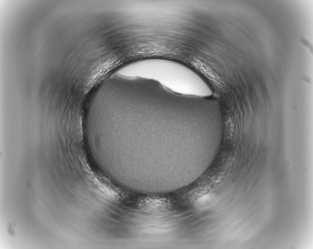 X0000093400638200711020936