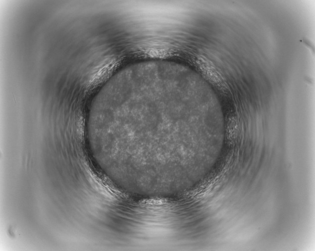 X0000093400639200711020936