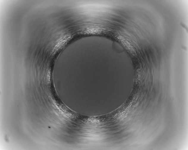 X0000093400640200711020936