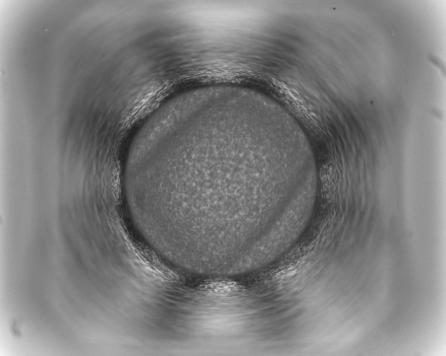 X0000093400642200711020936