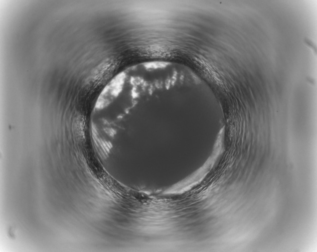 X0000093400643200711020936