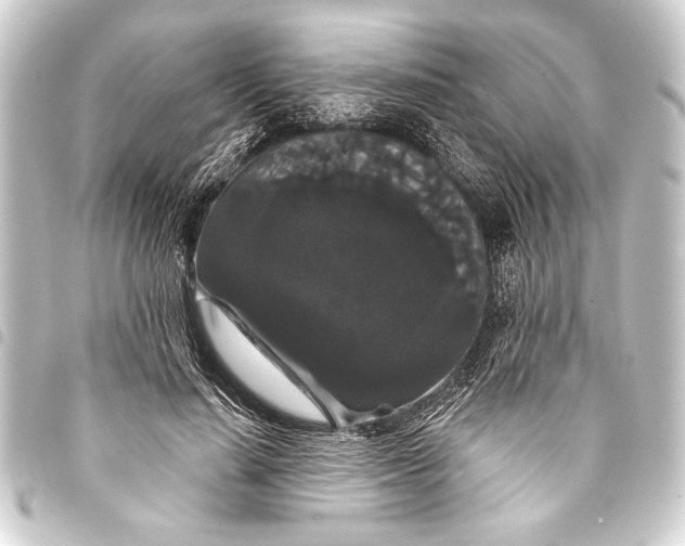 X0000093400644200711020936