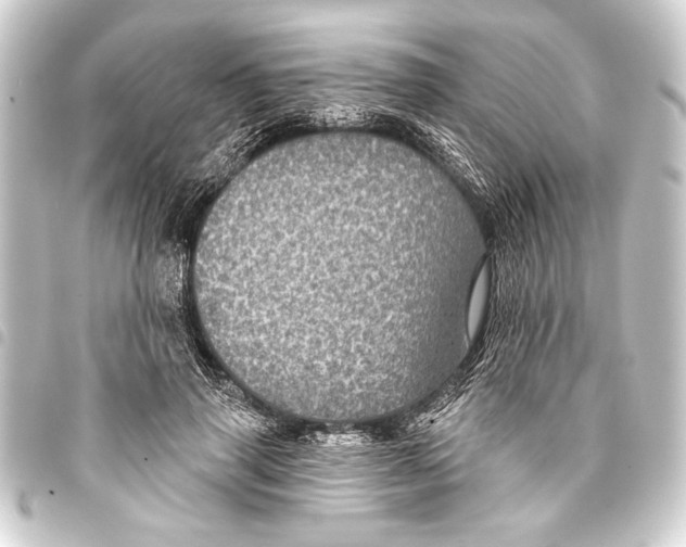 X0000093400645200711020936