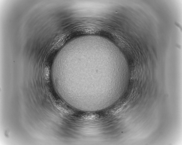 X0000093400646200711020936