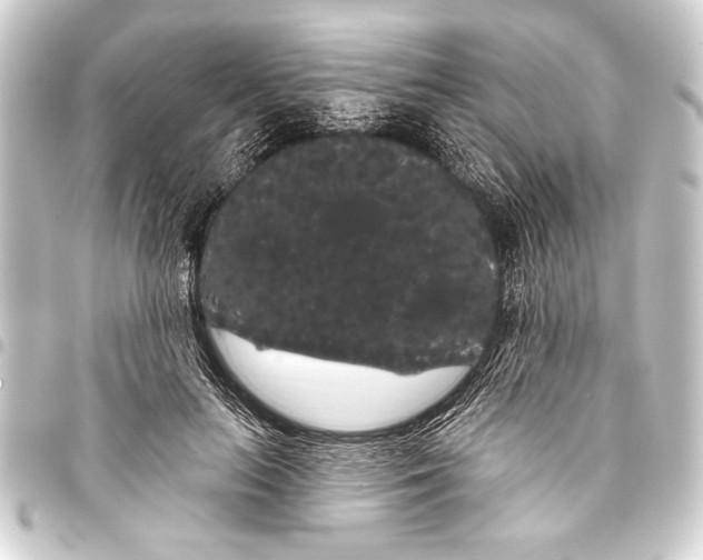 X0000093400647200711020936