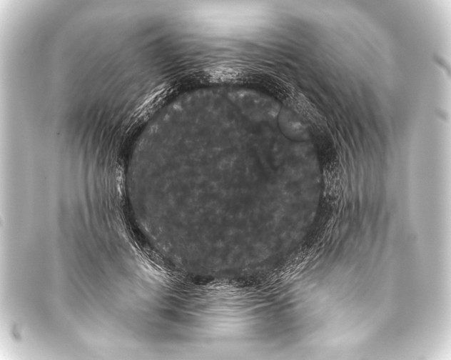 X0000093400648200711020936