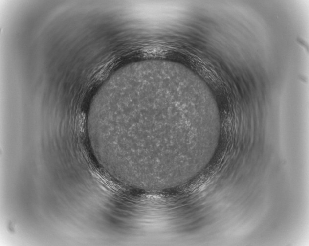 X0000093400649200711020936