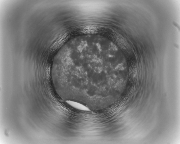 X0000093400652200711020936