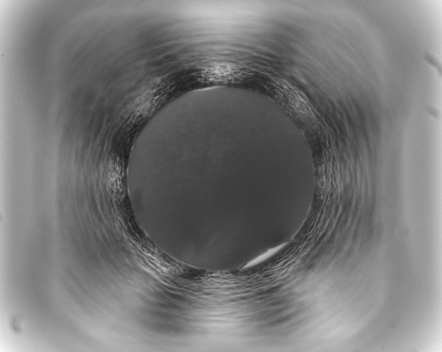 X0000093400653200711020936