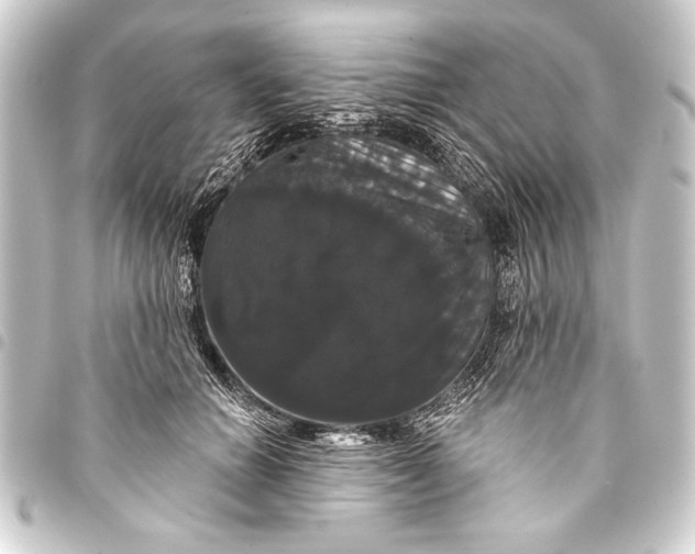 X0000093400654200711020936