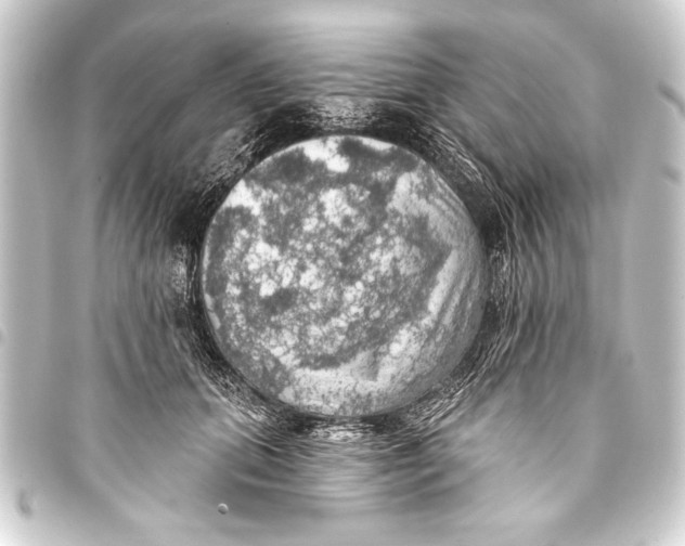 X0000093400655200711020936