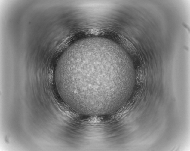 X0000093400656200711020936