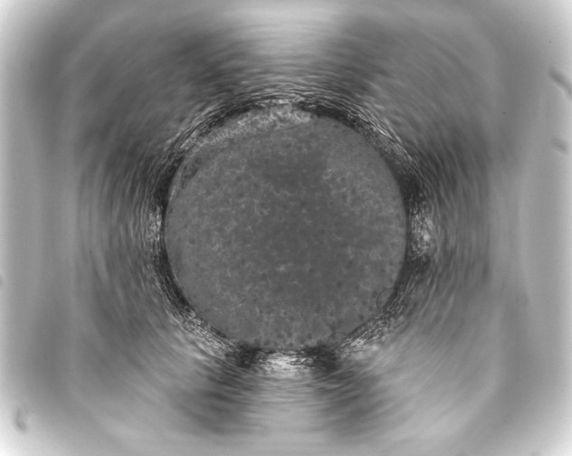 X0000093400657200711020936