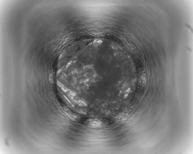 X0000093400658200711020936