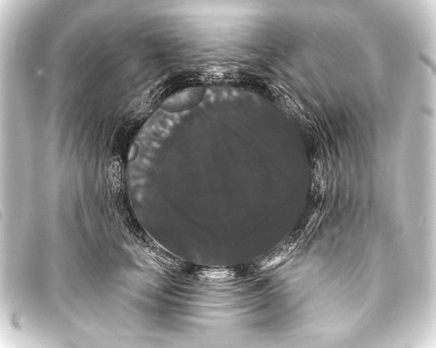 X0000093400659200711020936